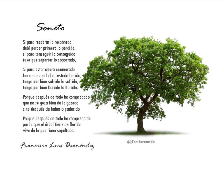 Soneto de Francisco Luis Bernárdez