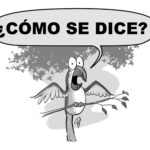 Cómo se dice
