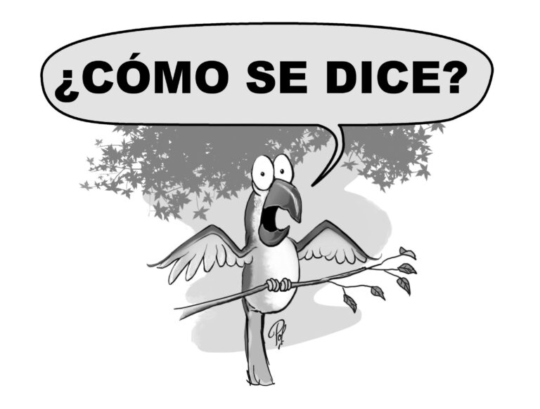 Cómo se dice