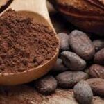 El cacao
