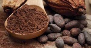 El cacao