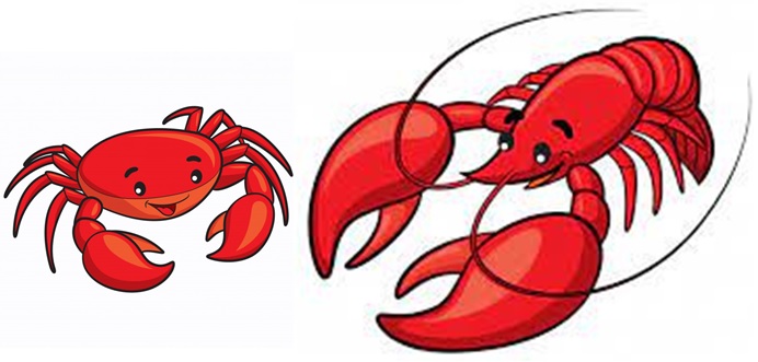 Poema "El cangrejo y el bogavante" 3º Primaria