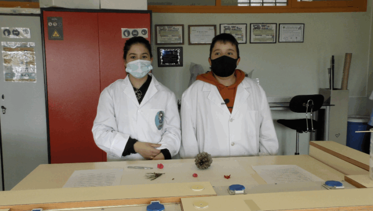 Las flores. IES Marismas