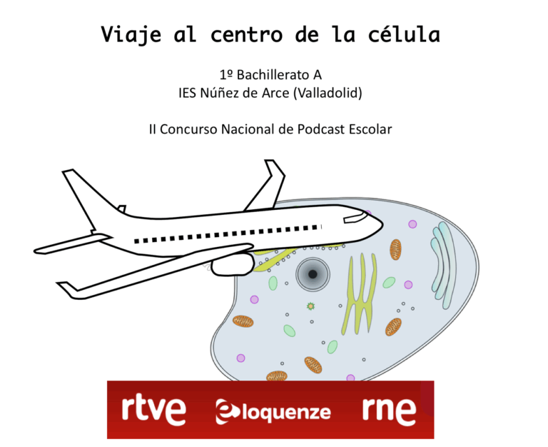 Viaje al centro de la célula