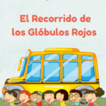 El recorrido de los glóbulos rojos
