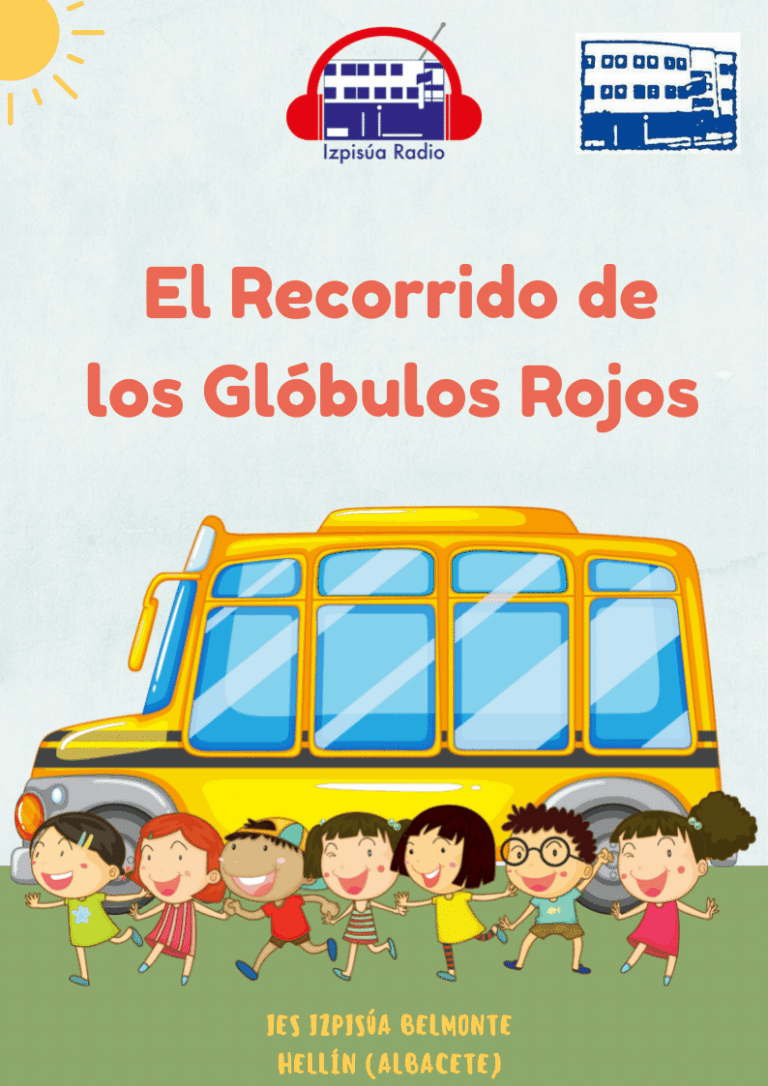 El recorrido de los glóbulos rojos