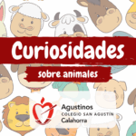 CURIOSIDADES SOBRE ANIMALES