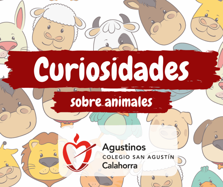 CURIOSIDADES SOBRE ANIMALES