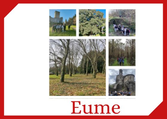 Fragas del Eume y Pontedeume