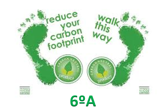 HOW TO REDUCE YOUR CARBON FOOTPRINT 6ºA