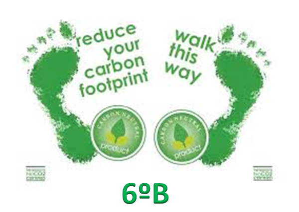 HOW TO REDUCE YOUR CARBON FOOTPRINT 6ºB
