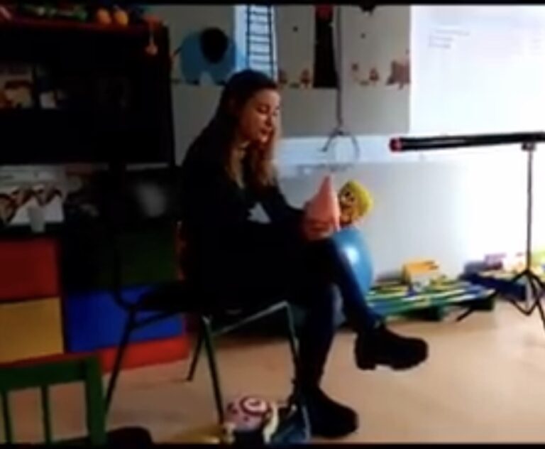 EL CASCANUECES Y EL REY DE LOS RATONES. PAULA BERMEJO