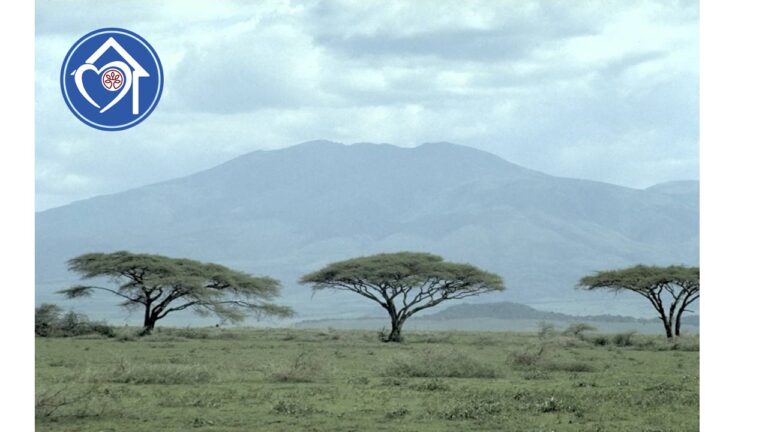 La Fábula de Comodín y Rayitas - 3º. Ed. Primaria - Colegio Luz Casanova Embajadores - FEYE