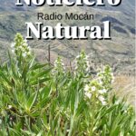 Noticiero Natural