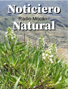 Noticiero Natural