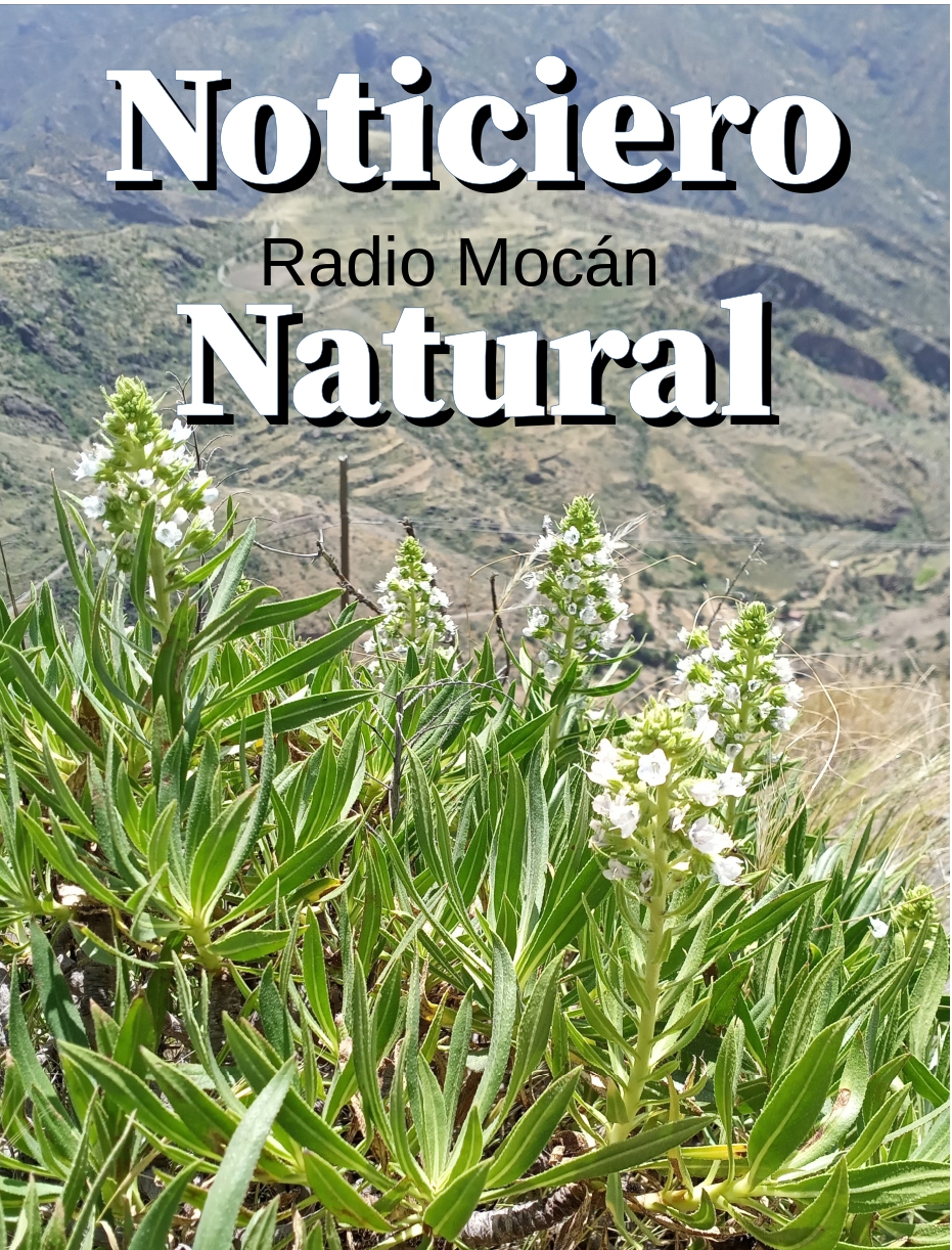 Noticiero Natural