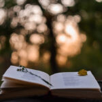 Día de la Poesía