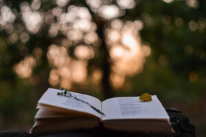 Día de la Poesía