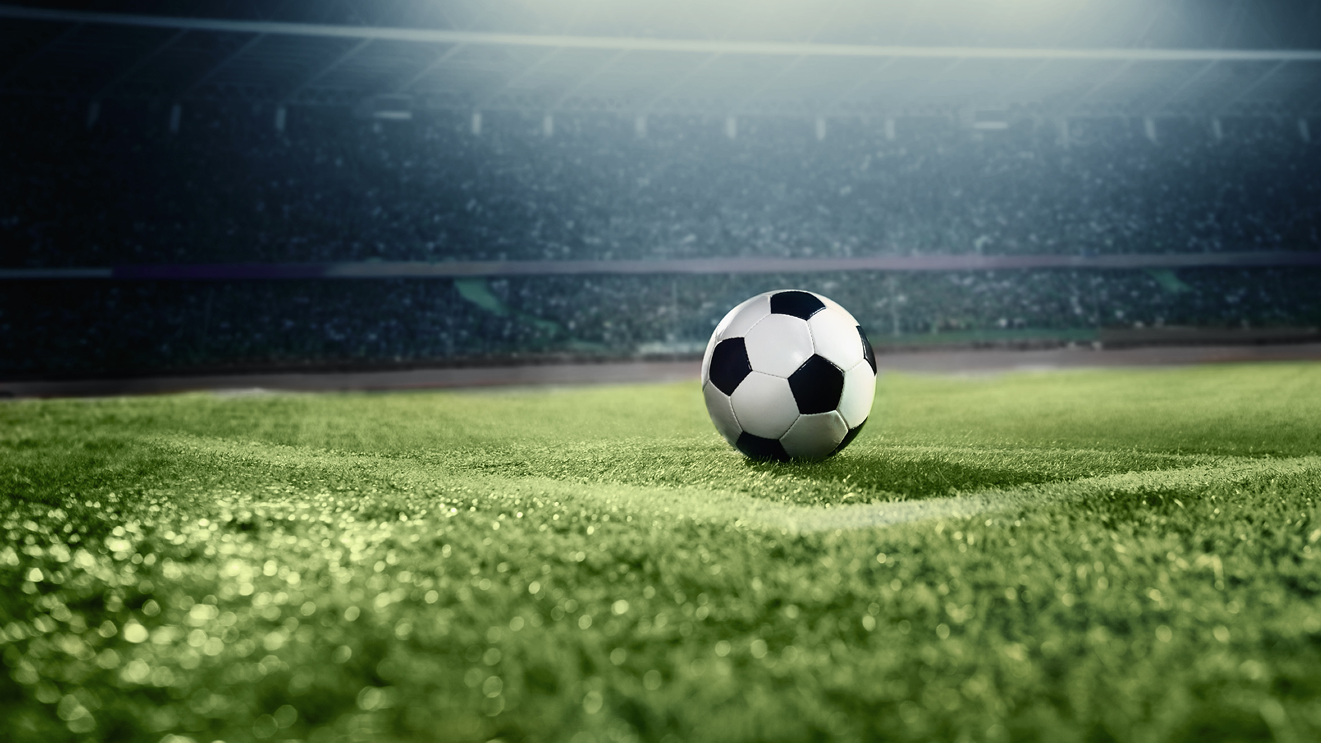 La copa prehistórica