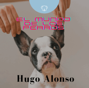 El mundo de los perros-Hugo Alonso