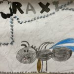 Parte II: Raxi