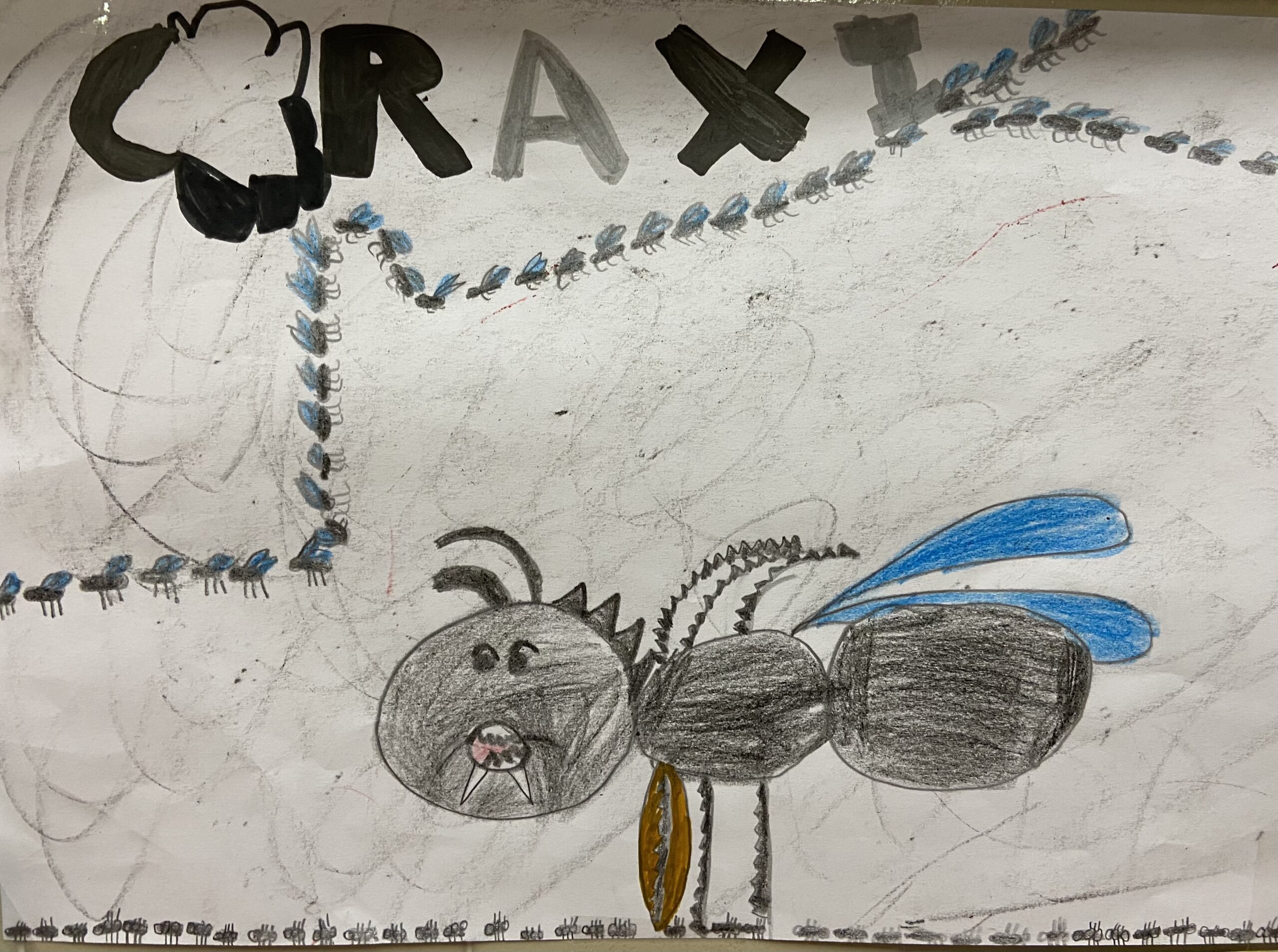 Parte II: Raxi