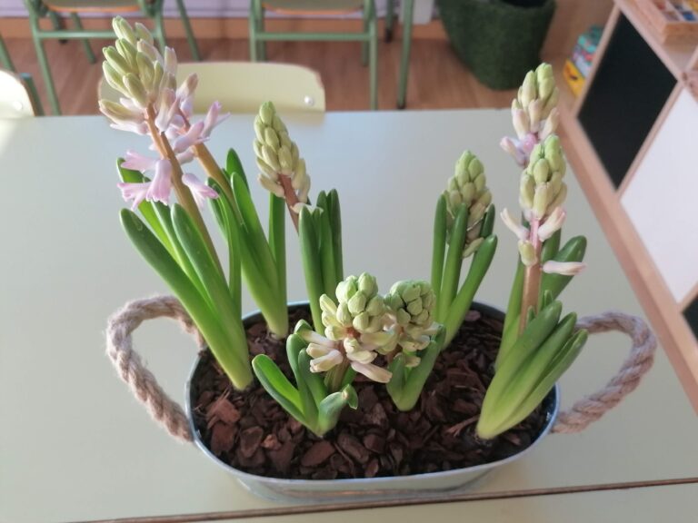 CONCURSO PODCAST: NO TENEMOS COMEDOR