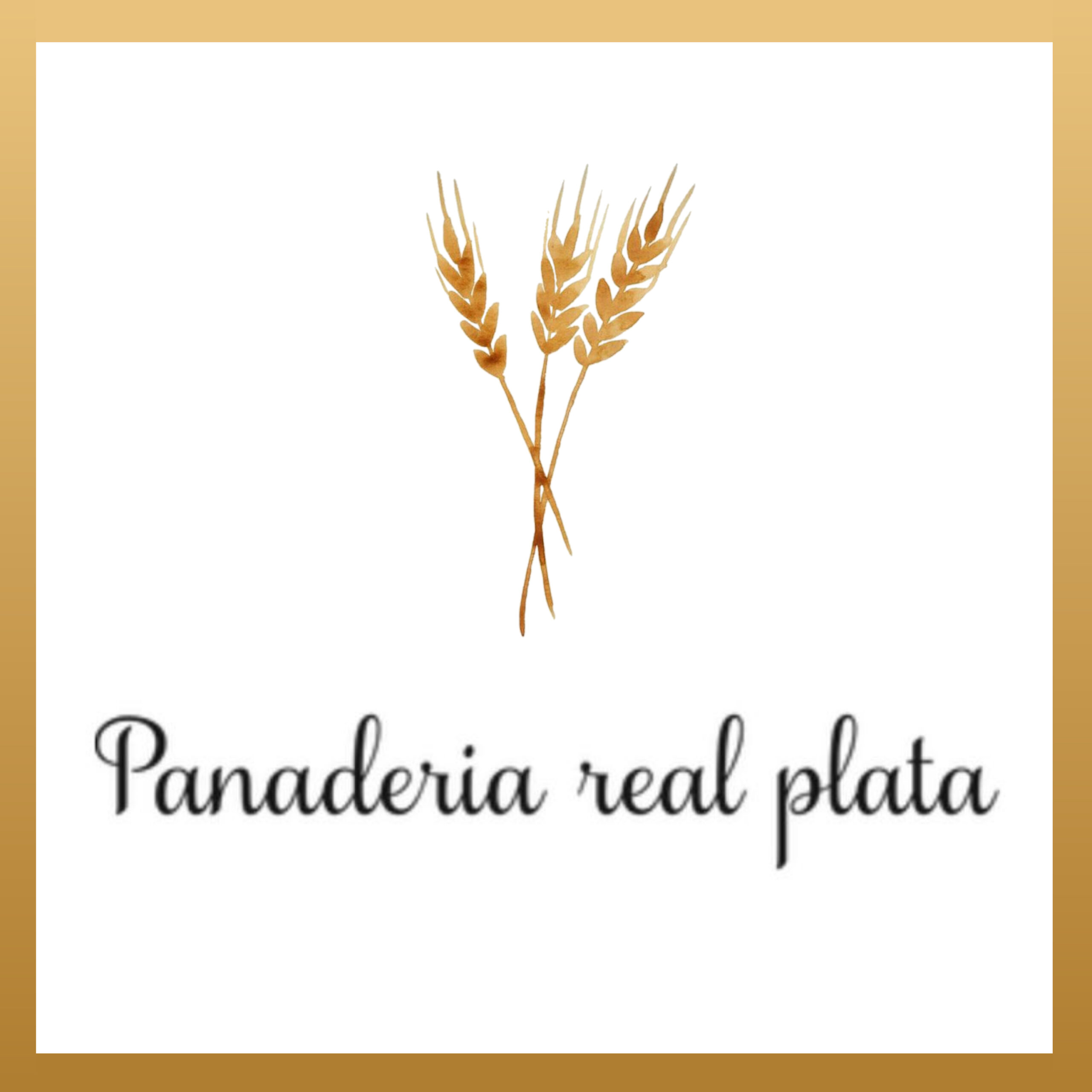 Horno Real Plata