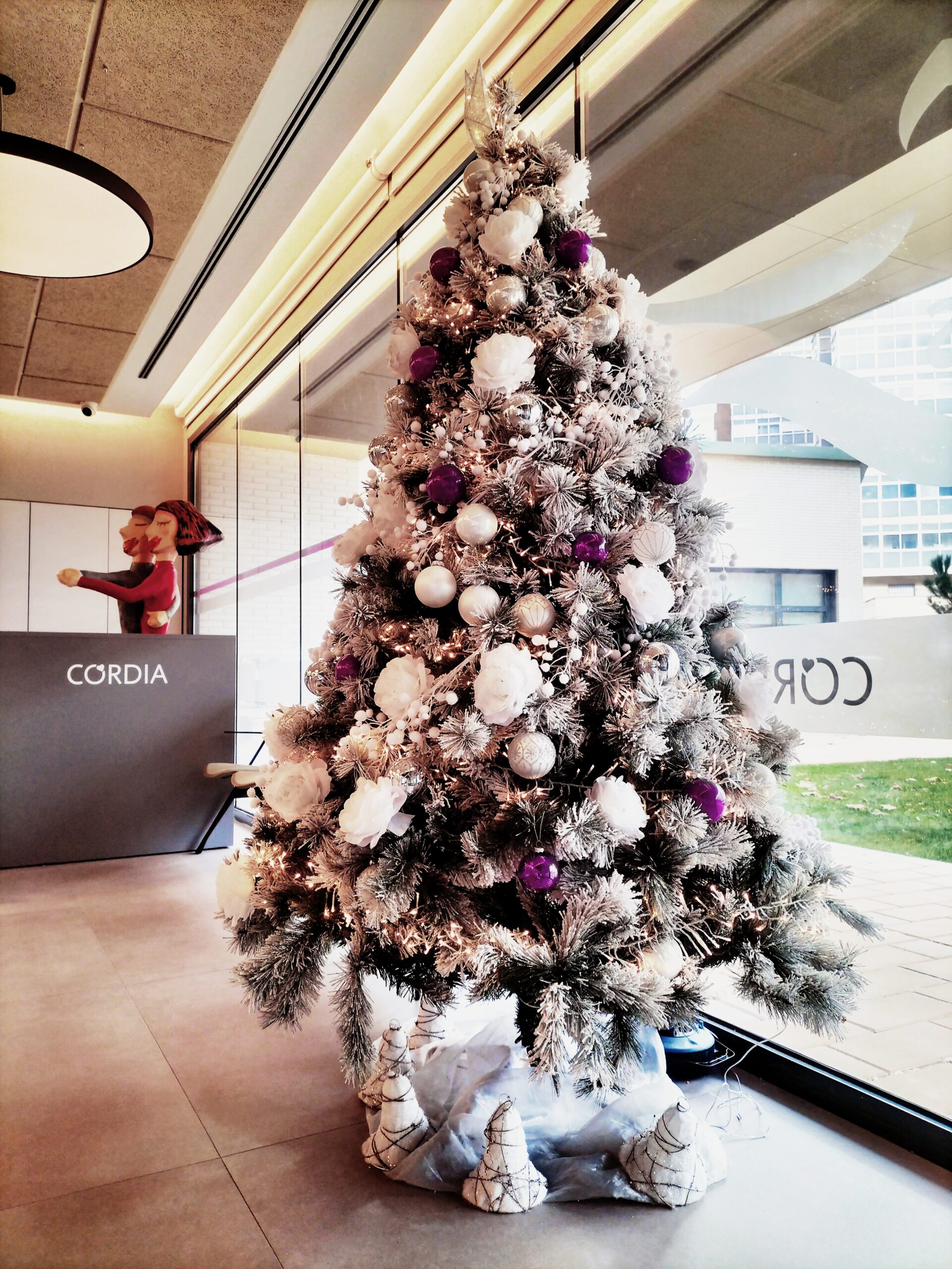 Cordia en Navidad