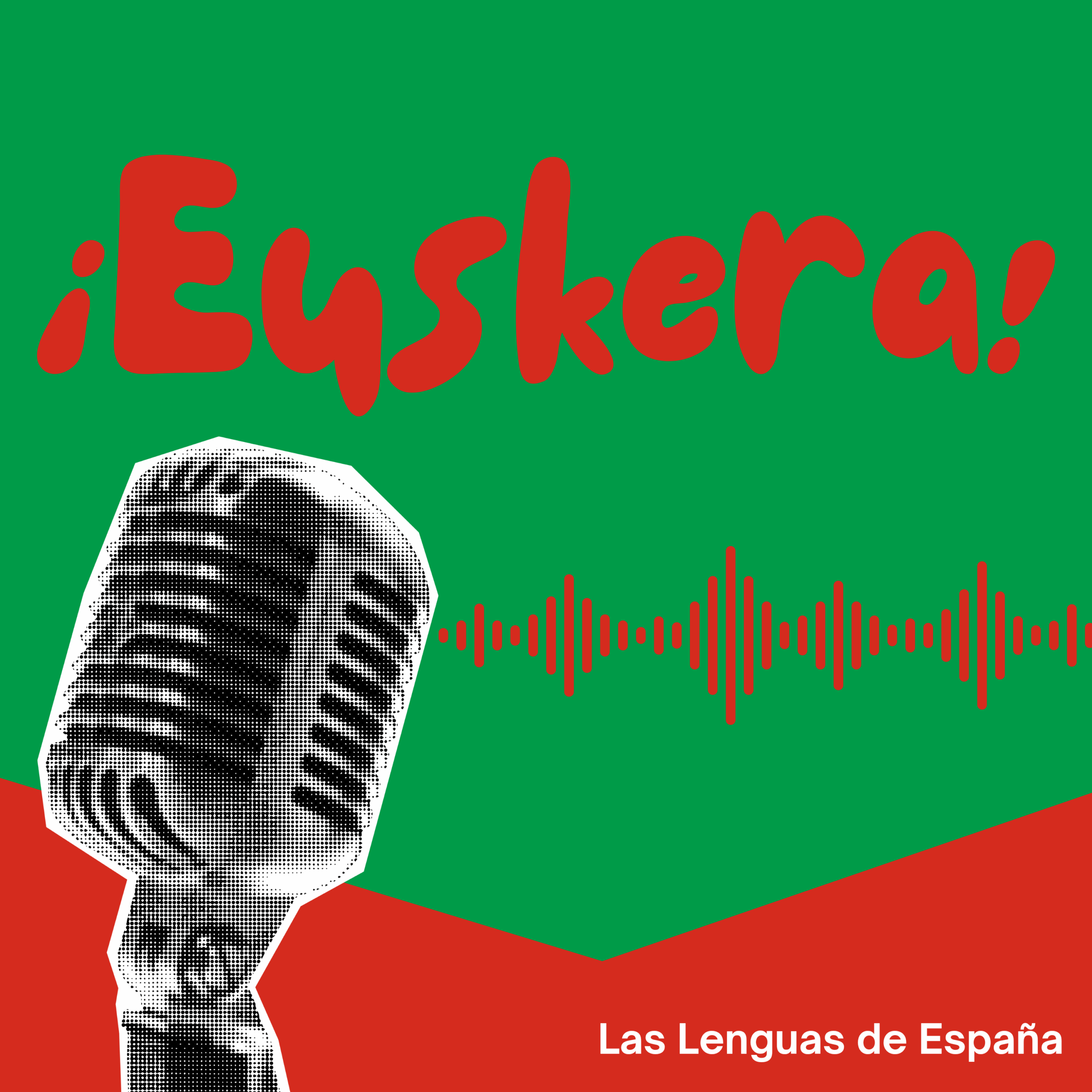 Las lenguas de España: el euskera