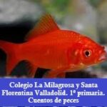 Cuentos de peces. Concurso podcasts