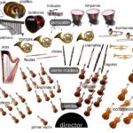 Los Instrumentos de la Orquesta