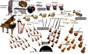 Los Instrumentos de la Orquesta