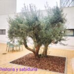 I.Aprendiendo de la historia.