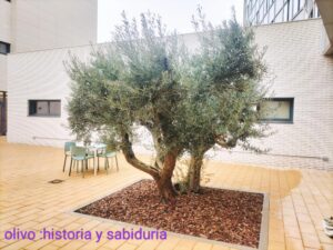 I.Aprendiendo de la historia.