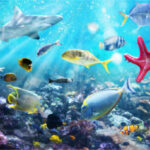 P3_Alerta en Villamarina