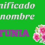 Día del Medio Ambiente- Etimología del nombre Petunia- 3º de Primaria