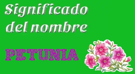 Día del Medio Ambiente- Etimología del nombre Petunia- 3º de Primaria