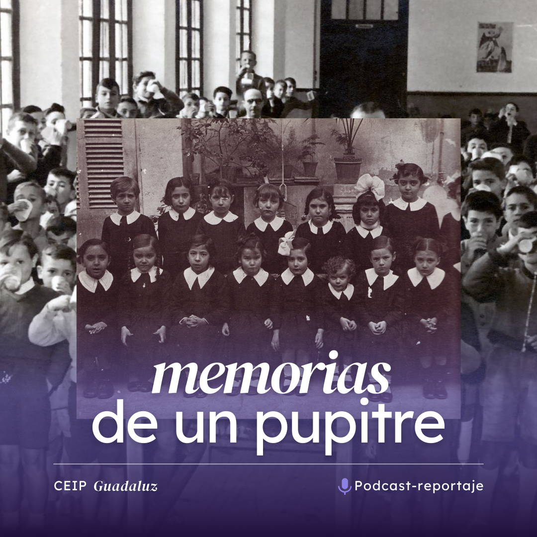 Memorias de un pupitre