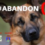 Entrevista a la Protectora de animales de El Burgo