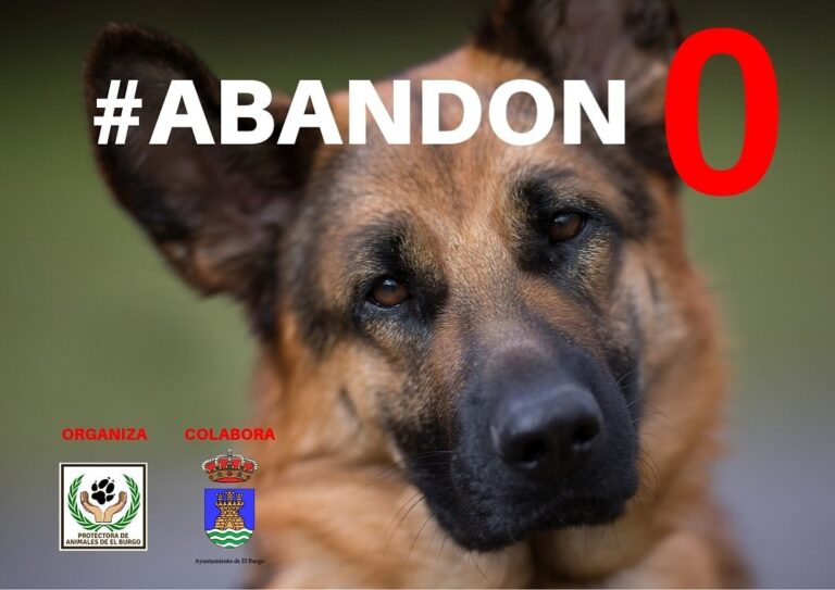 Entrevista a la Protectora de animales de El Burgo