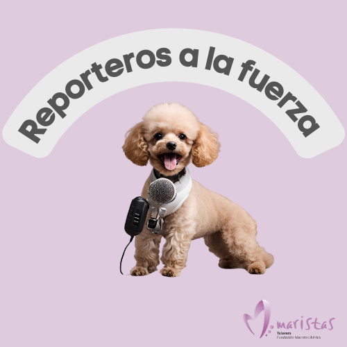 OS INVITAMOS A NUESTRA FIESTA DE SED