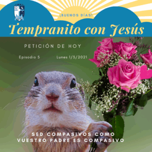 SED COMPASIVOS