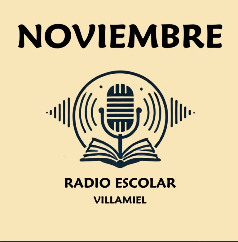 PROGRAMA DE NOVIEMBRE 2024