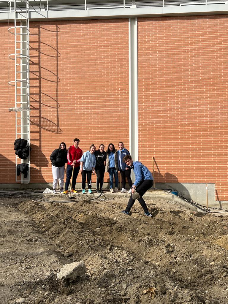 Comenzamos la siembra de la patata en nuestro huerto