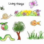 Seres Vivos- Living things