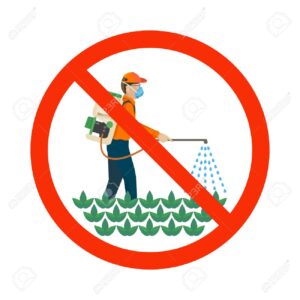 2019-01-17 Adrián G. y Diego No utilizar productos químicos en las plantas
