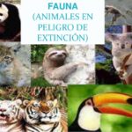 2019-01-18 Guillermo