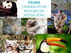2019-01-18 Guillermo