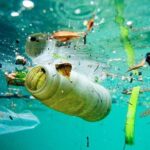 ¿Qué hacemos con la basura marina?